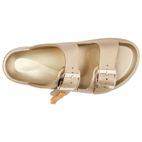 D' Franklin Vibe Foam 2 Buckles